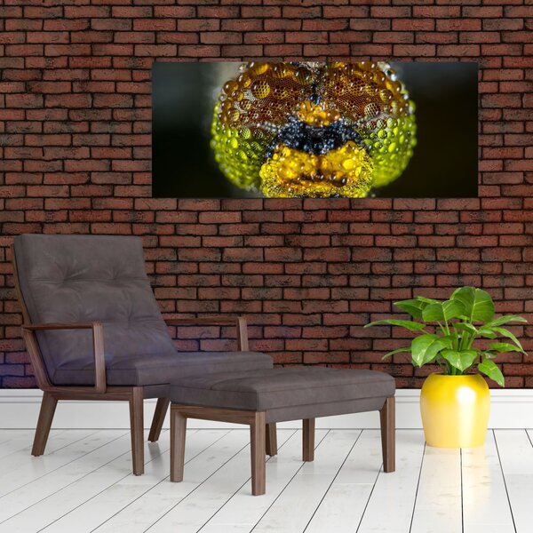 Detaljna slika očiju kukca (120x50 cm)