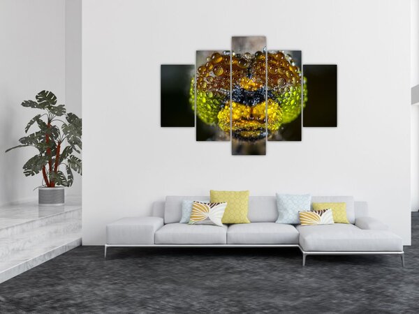 Detaljna slika očiju kukca (150x105 cm)