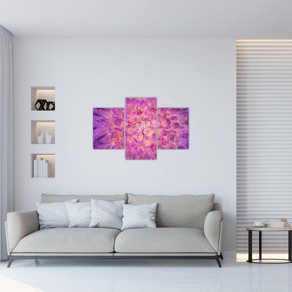Detaljna slika cvijeta (90x60 cm)