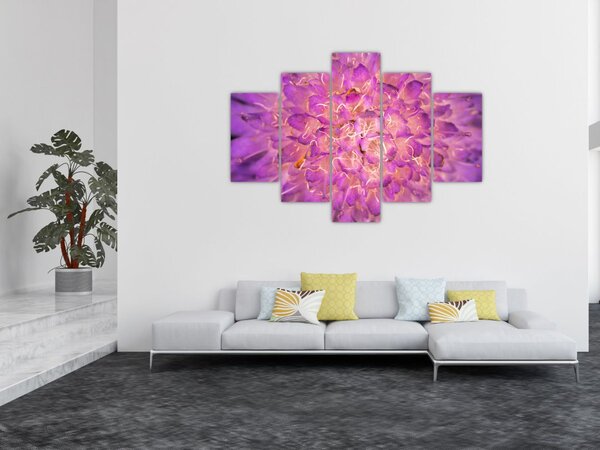 Detaljna slika cvijeta (150x105 cm)