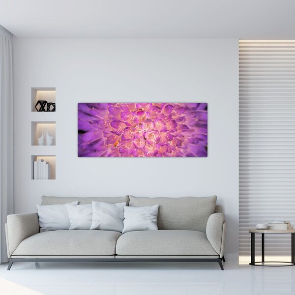 Detaljna slika cvijeta (120x50 cm)