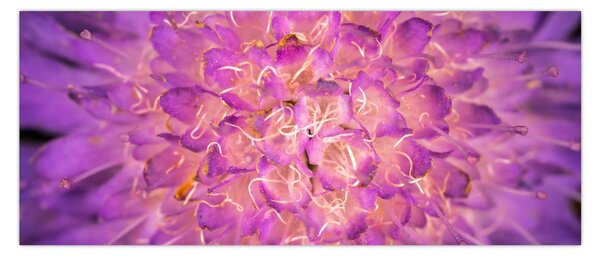 Detaljna slika cvijeta (120x50 cm)