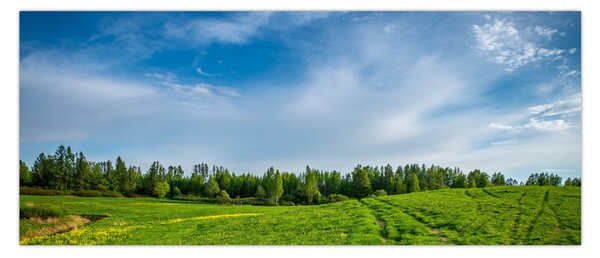 Slika livade (120x50 cm)