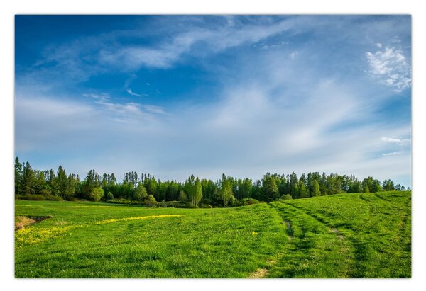 Slika livade (90x60 cm)