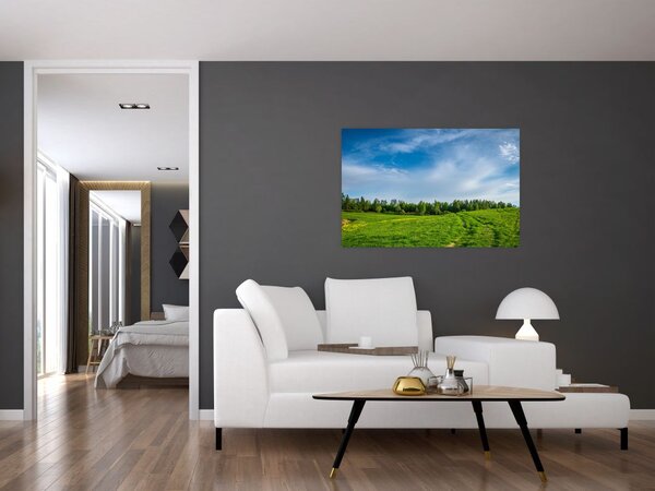 Slika livade (90x60 cm)