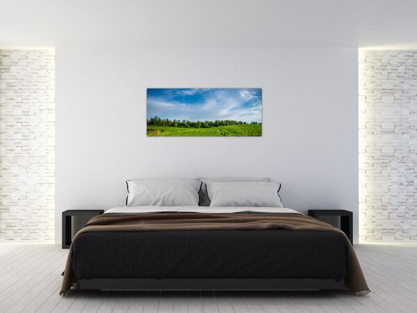 Slika livade (120x50 cm)