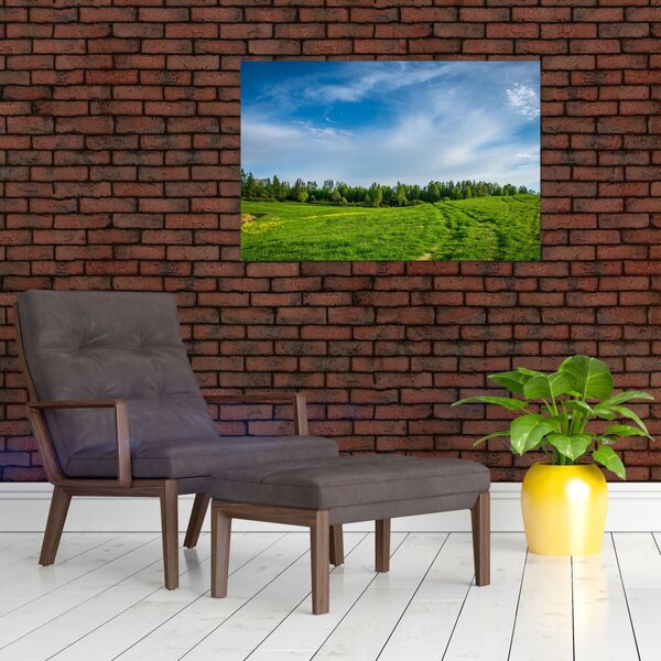 Slika livade (90x60 cm)