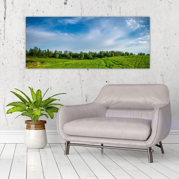 Slika livade (120x50 cm)