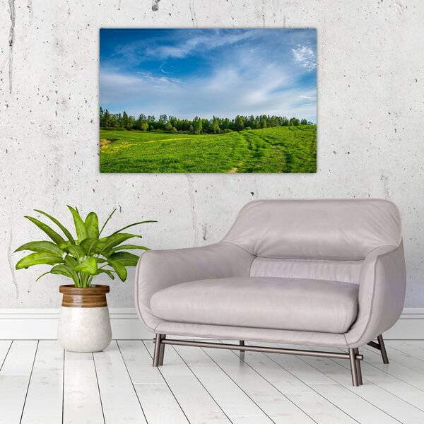 Slika livade (90x60 cm)