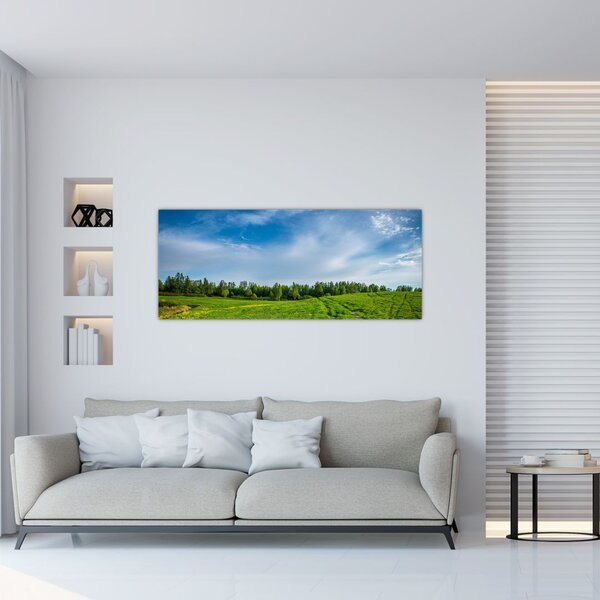 Slika livade (120x50 cm)