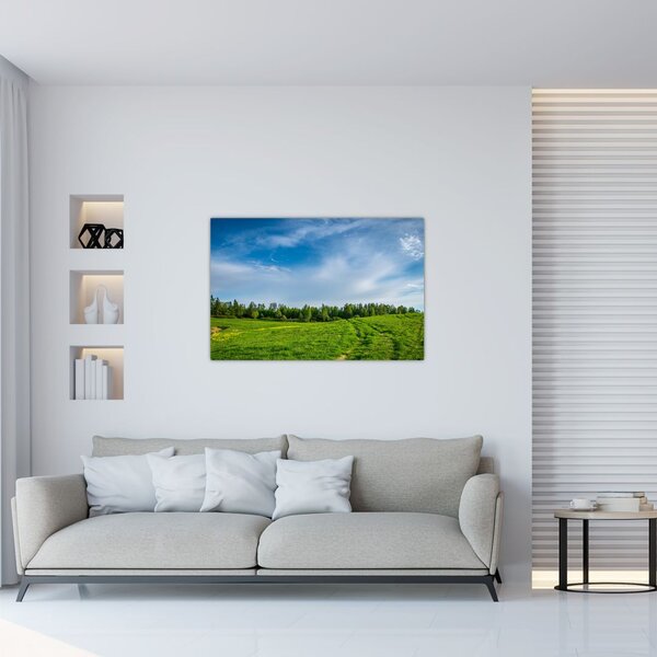 Slika livade (90x60 cm)