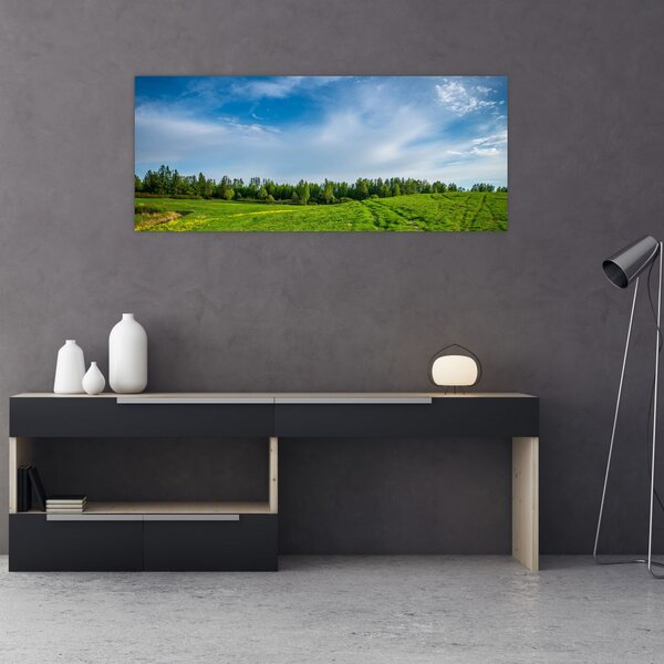 Slika livade (120x50 cm)