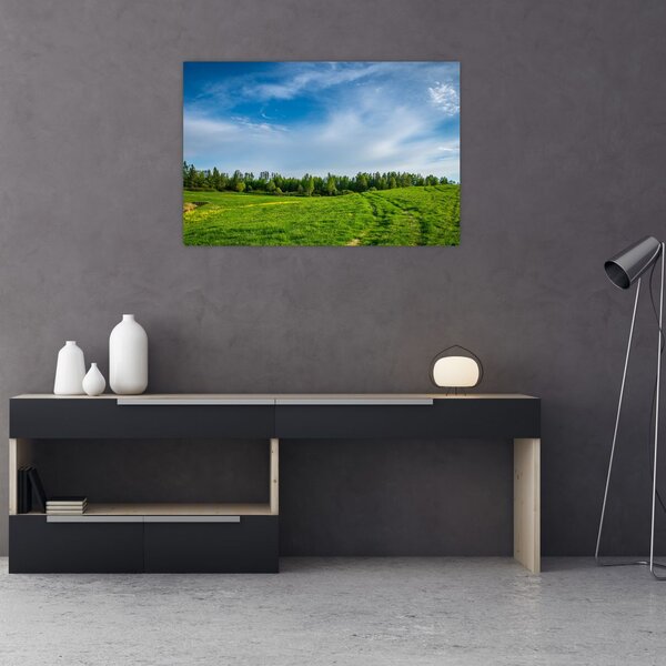 Slika livade (90x60 cm)