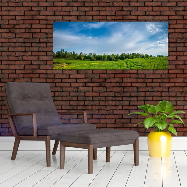 Slika livade (120x50 cm)
