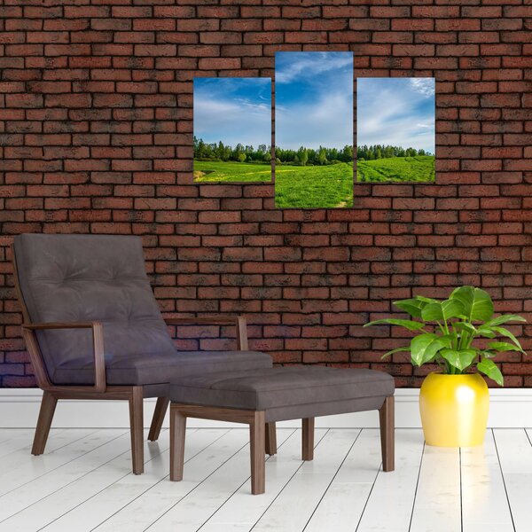 Slika livade (90x60 cm)