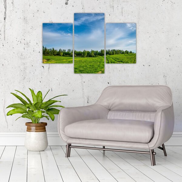 Slika livade (90x60 cm)