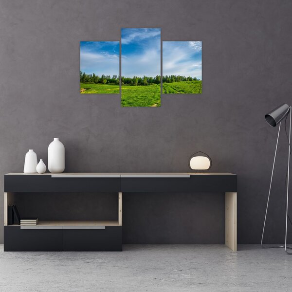 Slika livade (90x60 cm)