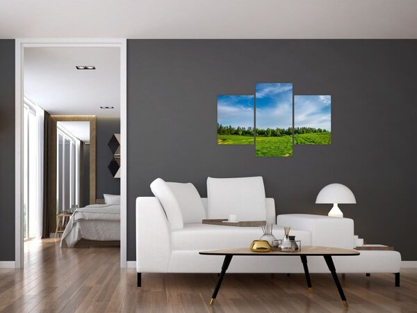 Slika livade (90x60 cm)