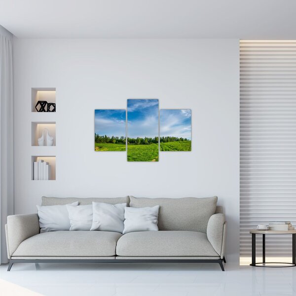 Slika livade (90x60 cm)
