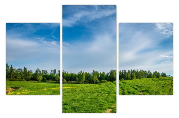 Slika livade (90x60 cm)