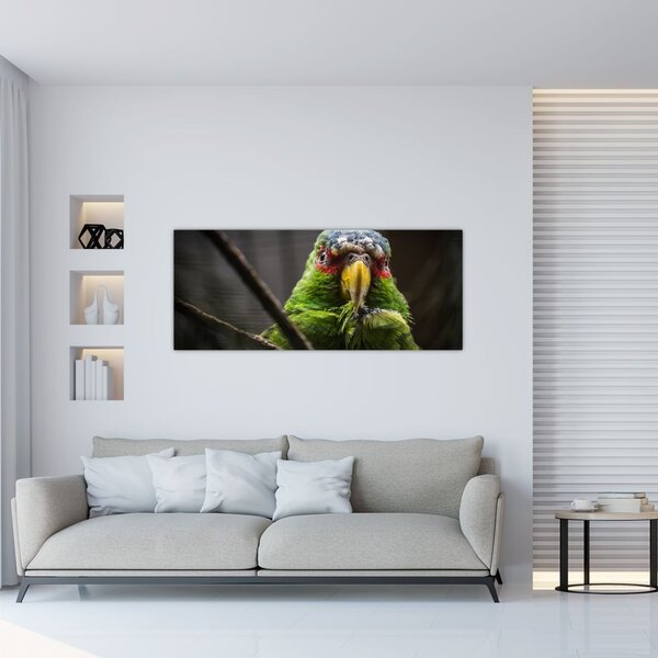 Slika papige (120x50 cm)