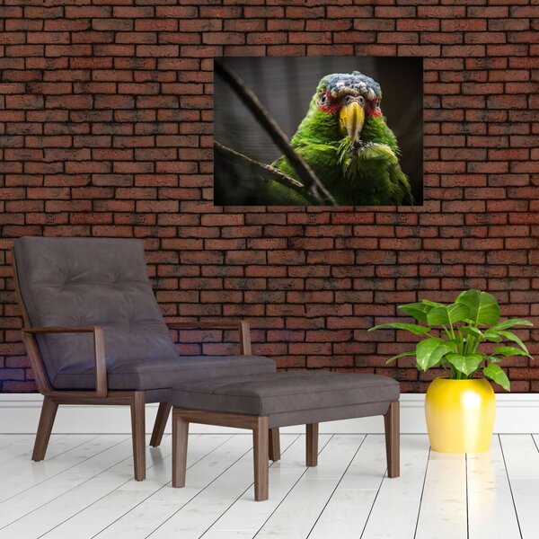 Slika papige (70x50 cm)
