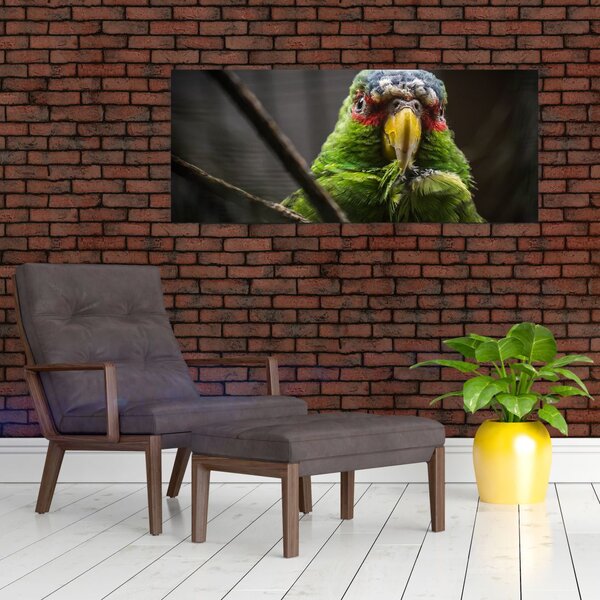 Slika papige (120x50 cm)