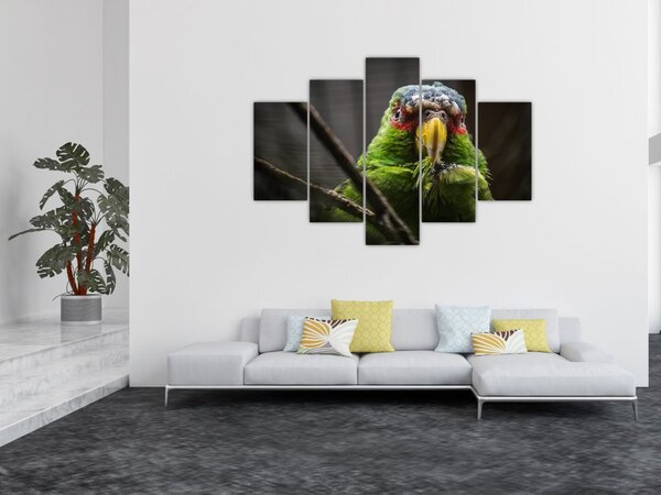 Slika papige (150x105 cm)