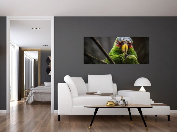 Slika papige (120x50 cm)