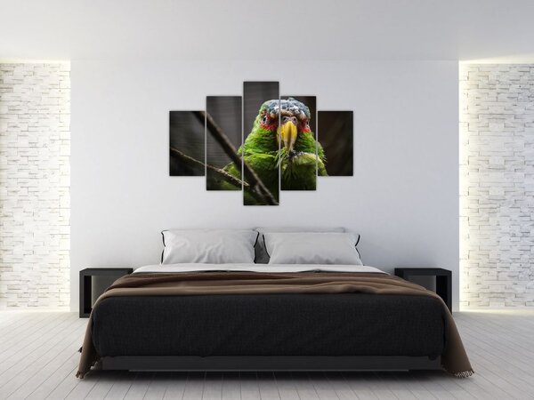 Slika papige (150x105 cm)