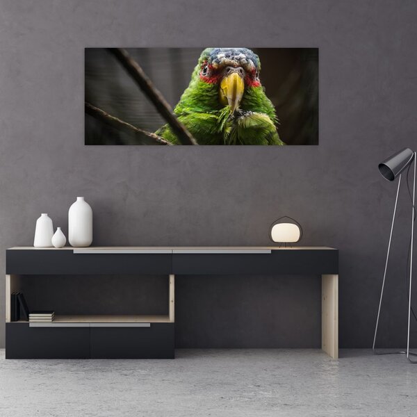 Slika papige (120x50 cm)