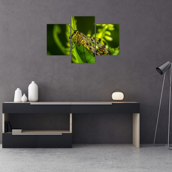 Slika kukca (90x60 cm)