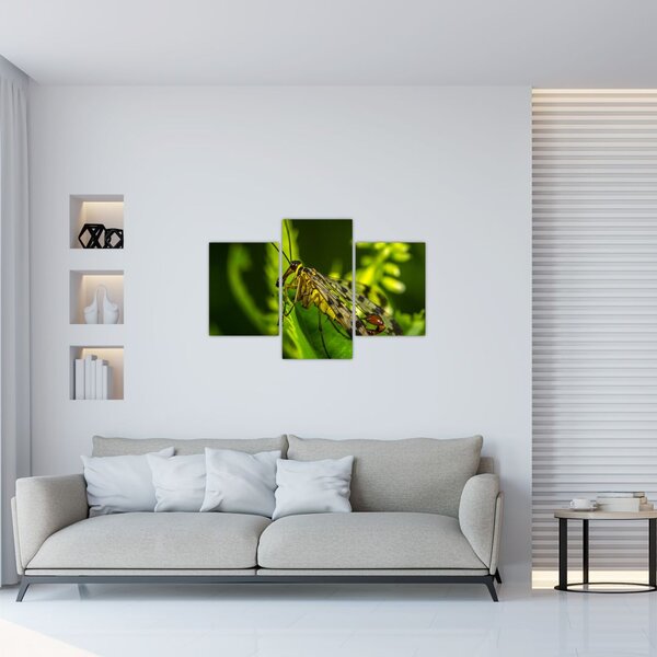Slika kukca (90x60 cm)