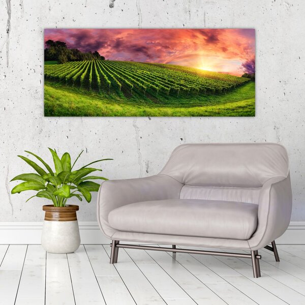 Slika vinograda s obojenim nebom (120x50 cm)