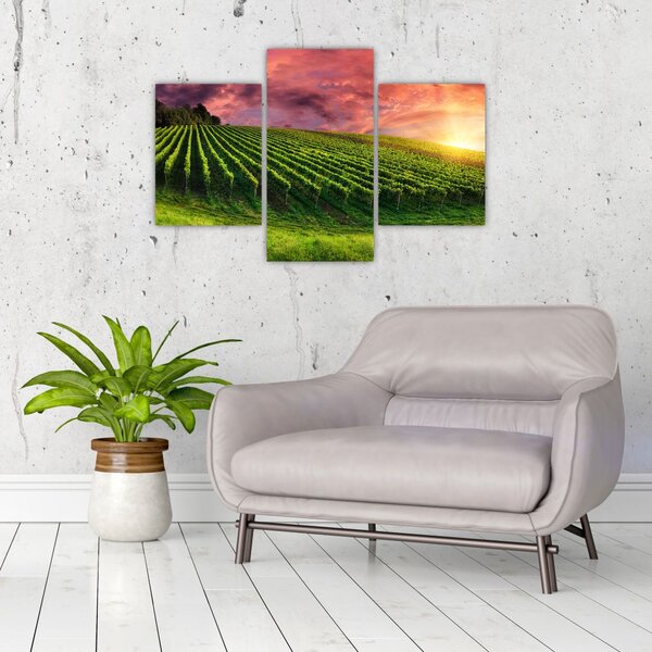 Slika vinograda s obojenim nebom (90x60 cm)
