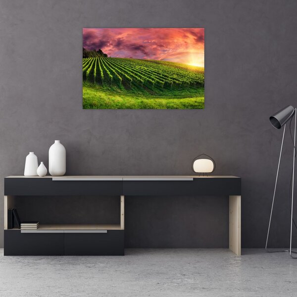 Slika vinograda s obojenim nebom (90x60 cm)