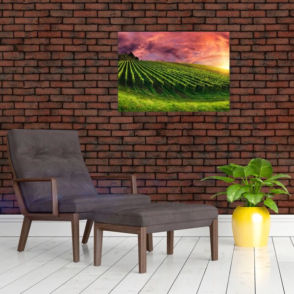 Slika vinograda s obojenim nebom (70x50 cm)