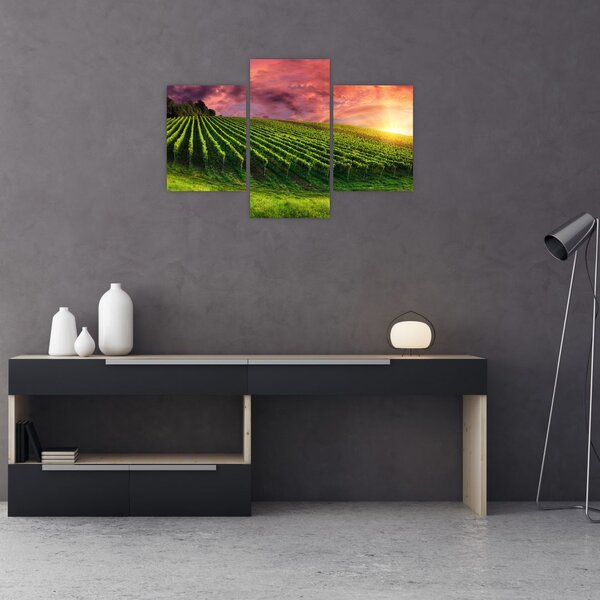 Slika vinograda s obojenim nebom (90x60 cm)