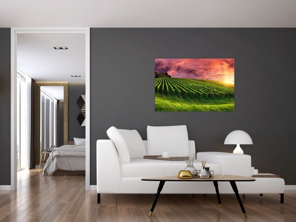 Slika vinograda s obojenim nebom (90x60 cm)
