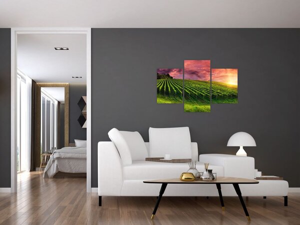 Slika vinograda s obojenim nebom (90x60 cm)