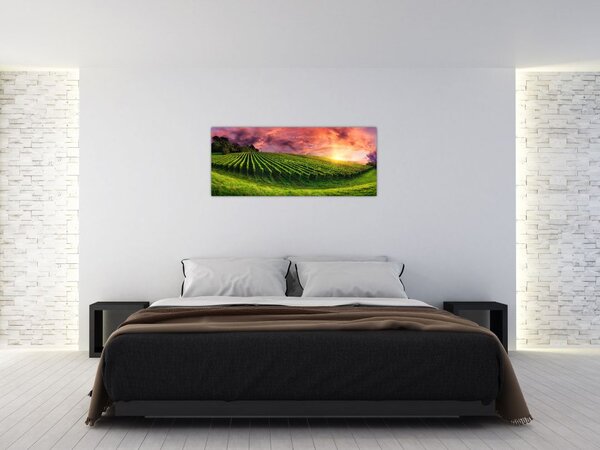 Slika vinograda s obojenim nebom (120x50 cm)