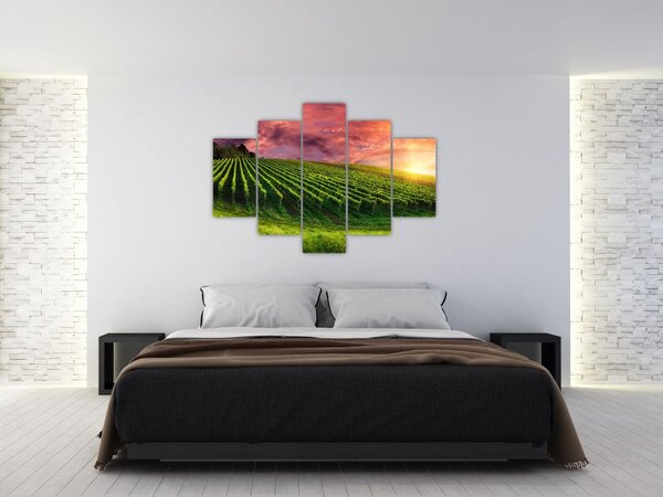 Slika vinograda s obojenim nebom (150x105 cm)