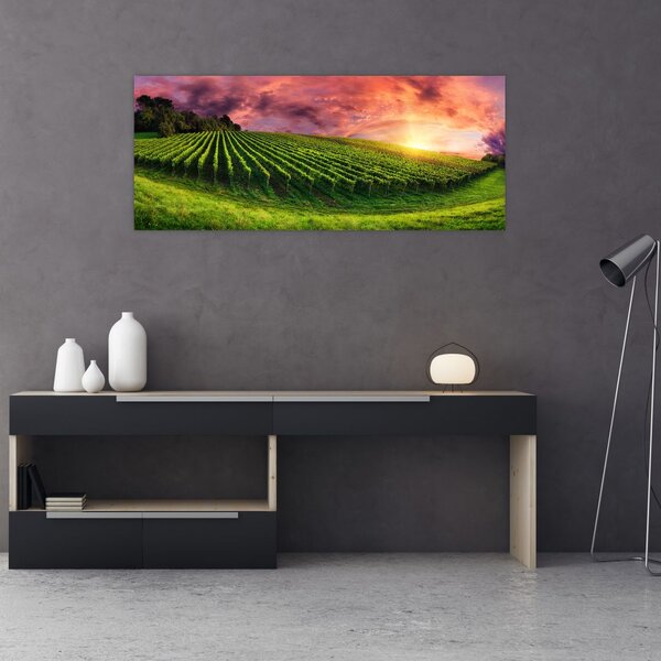 Slika vinograda s obojenim nebom (120x50 cm)