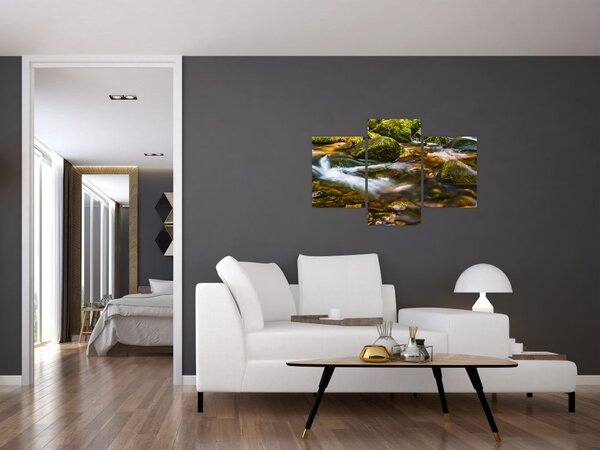 Slika potoka (90x60 cm)
