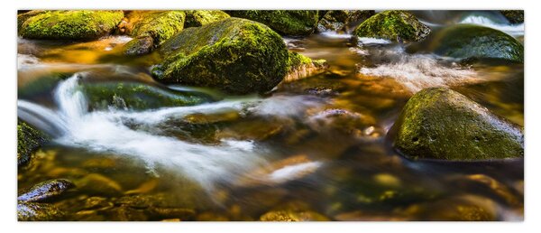 Slika potoka (120x50 cm)