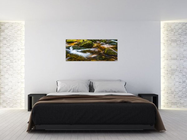 Slika potoka (120x50 cm)