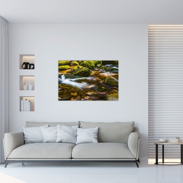 Slika potoka (90x60 cm)