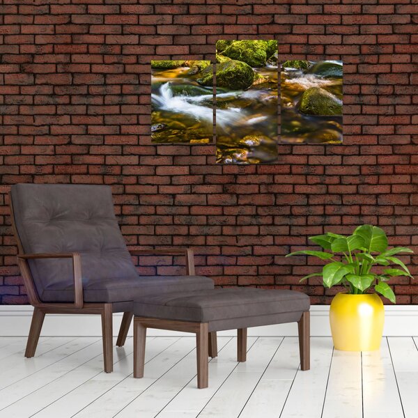 Slika potoka (90x60 cm)