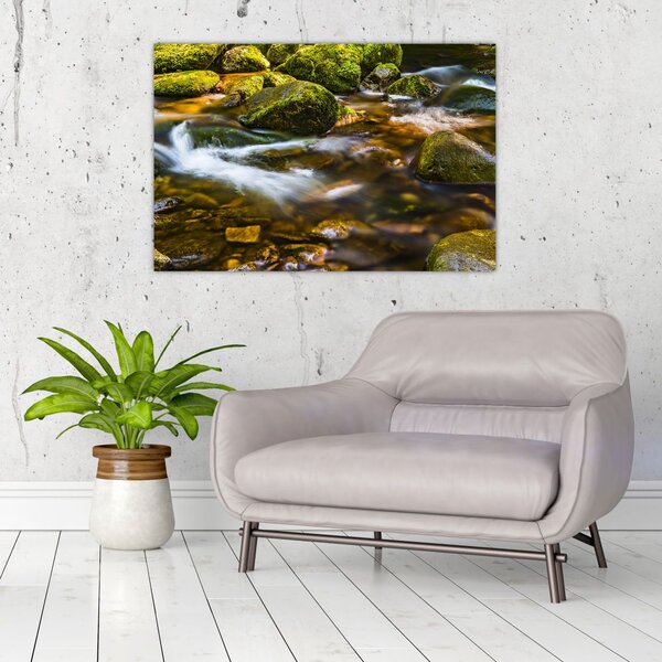 Slika potoka (90x60 cm)