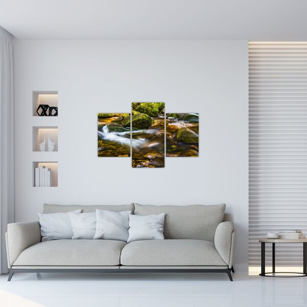 Slika potoka (90x60 cm)